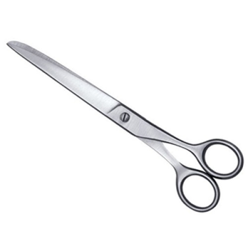 Tailor Scissors